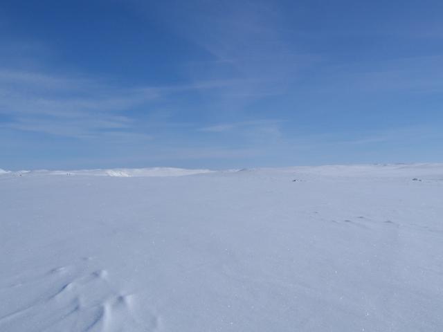 hardangervidda_winter_2006 046.jpg.jpg